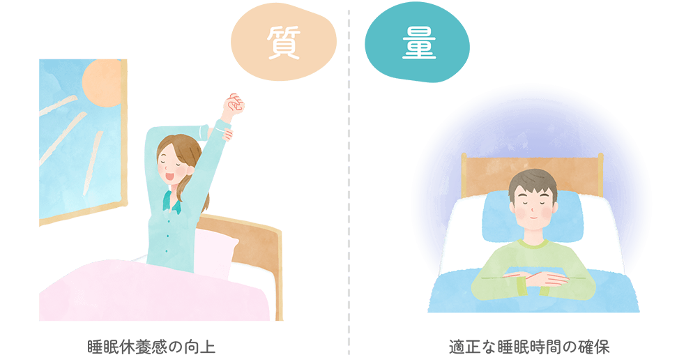 図表・イメージ：大切なのは睡眠の質と量